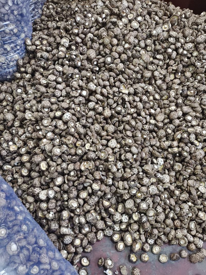 卢氏花菇干香菇农家精选花菇肉厚形圆特价批发包邮