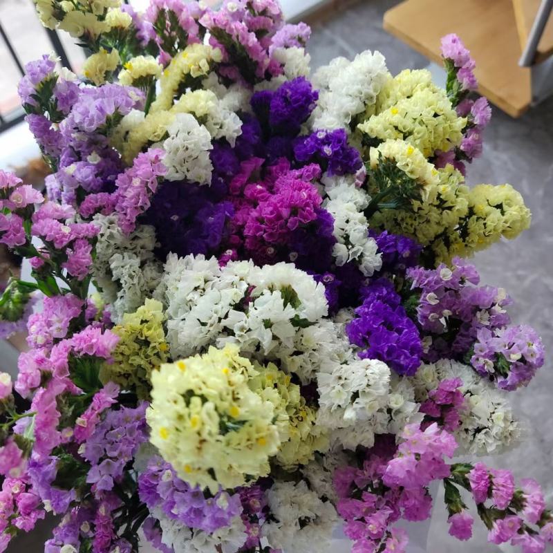 云南十八怪，鲜花称斤卖，混色勿忘我，六个颜色
