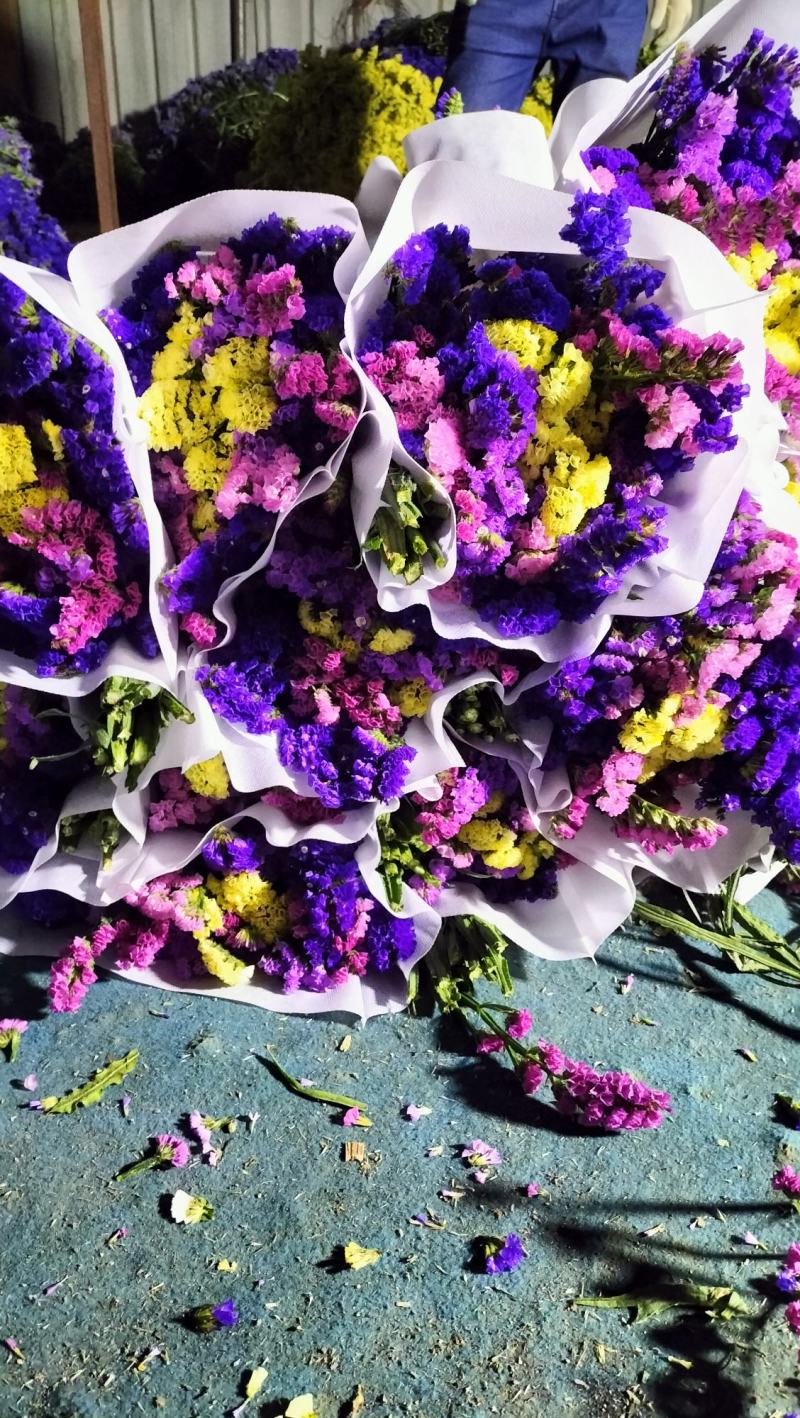 云南十八怪，鲜花称斤卖，混色勿忘我，六个颜色