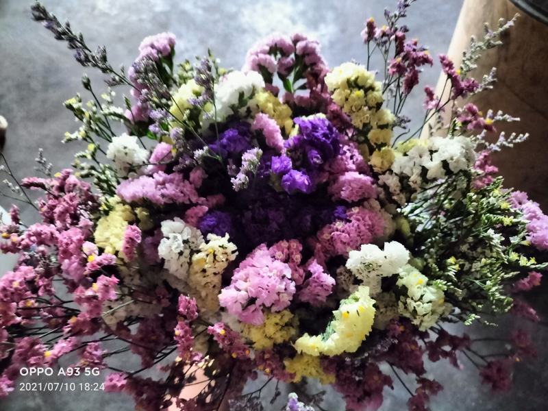 云南十八怪，鲜花称斤卖，混色勿忘我，六个颜色