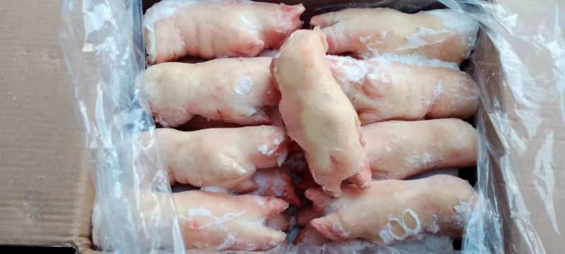 猪蹄