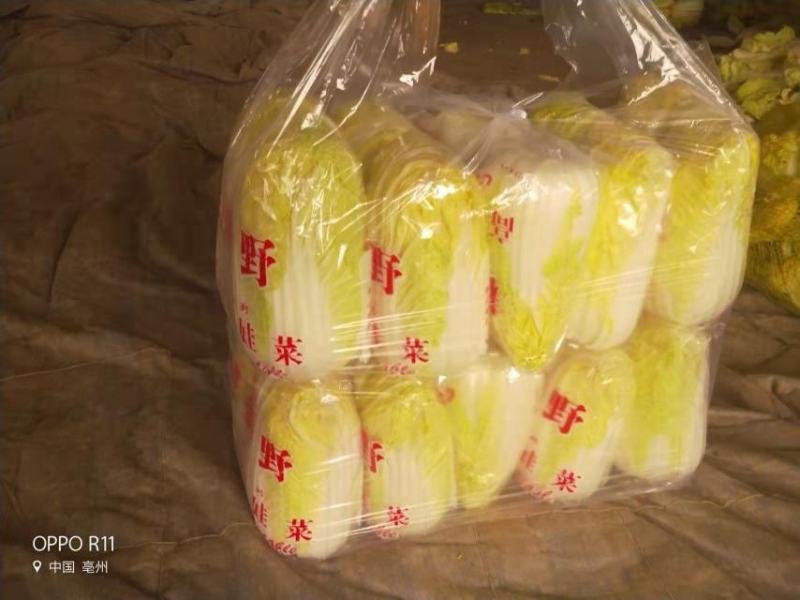 精包装三颗精品娃娃菜质优价廉品质保证诚信合作产地一售货供