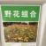 野花组合种子室外庭院易活花种籽子七彩格桑花四季开花太阳花