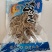 【实力】干海龙海产品干货食材滋补煲汤批发100g