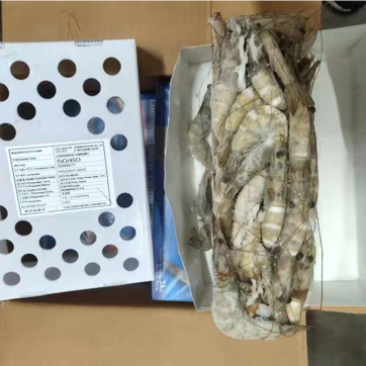 老船长南美白对虾