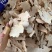 土太片【包邮】三斤起发货可批量可零售量大从优