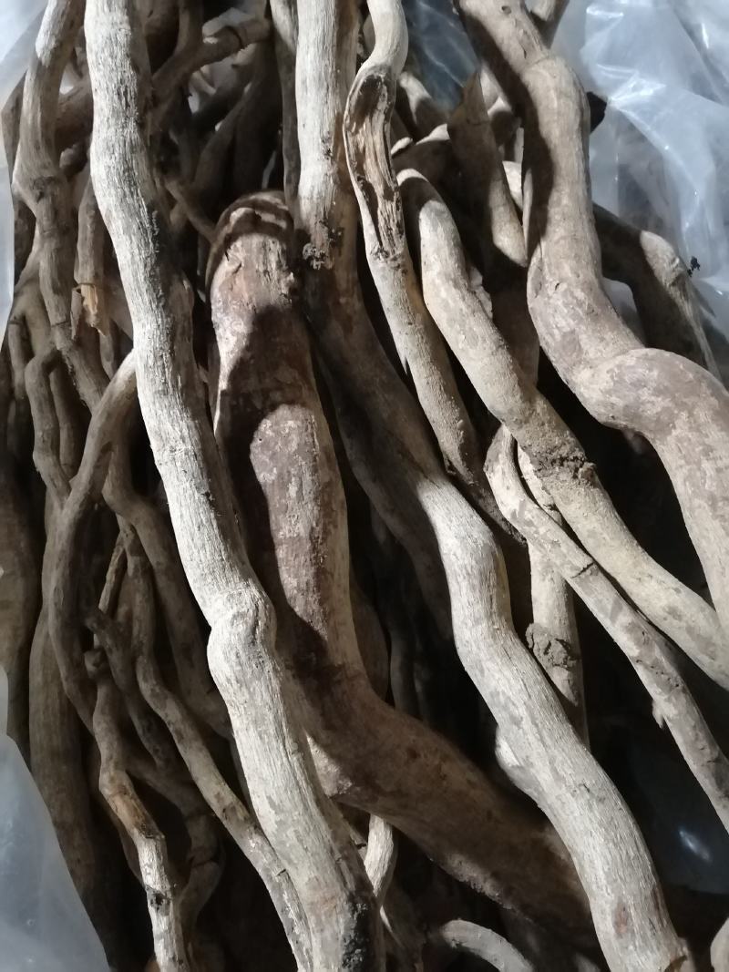【推荐】本地杜仲（鸡比根）优选货保质保量产地直供