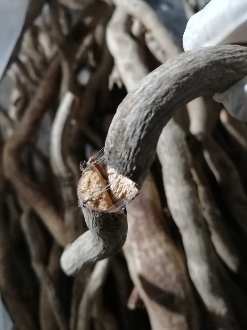 【推荐】本地杜仲（鸡比根）优选货保质保量产地直供