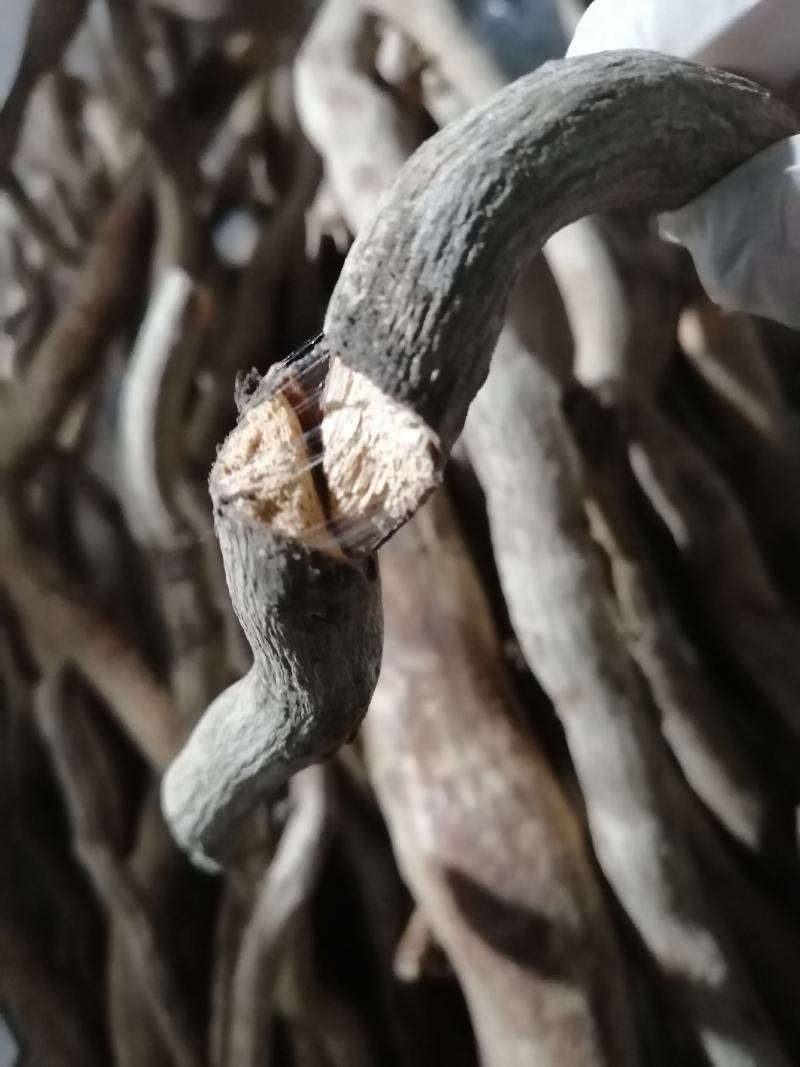 【推荐】本地杜仲（鸡比根）优选货保质保量产地直供