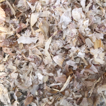 出售大蒜皮、烘干小蒜皮