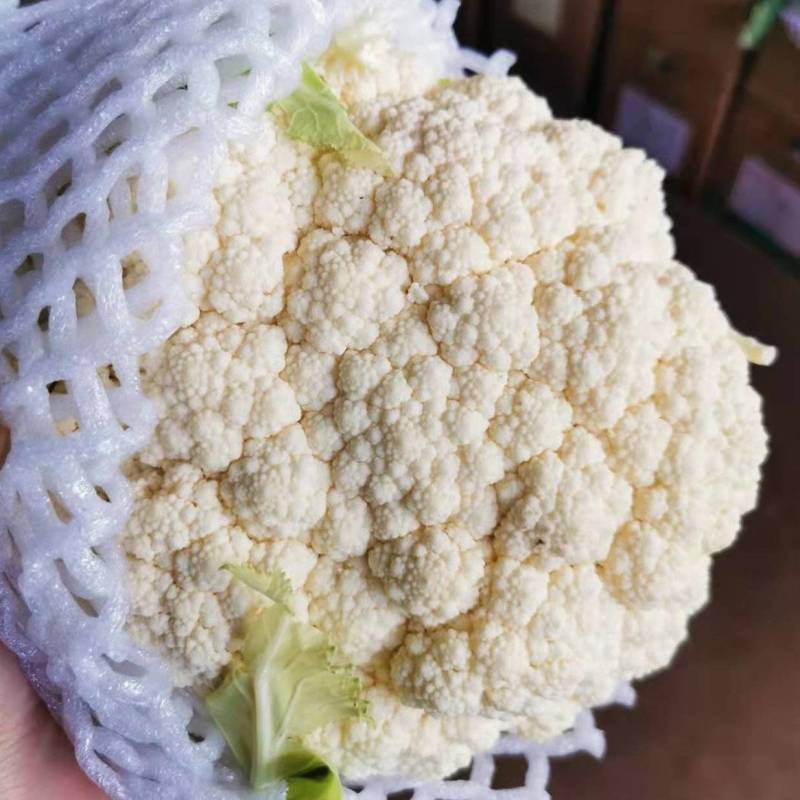 【精品】有机花菜松花菜大量上市货量充足量大从优欢迎选购！