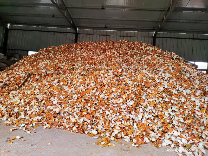 精品新鲜正宗中药材陈皮一手货源物美价廉大量有货可视频看货