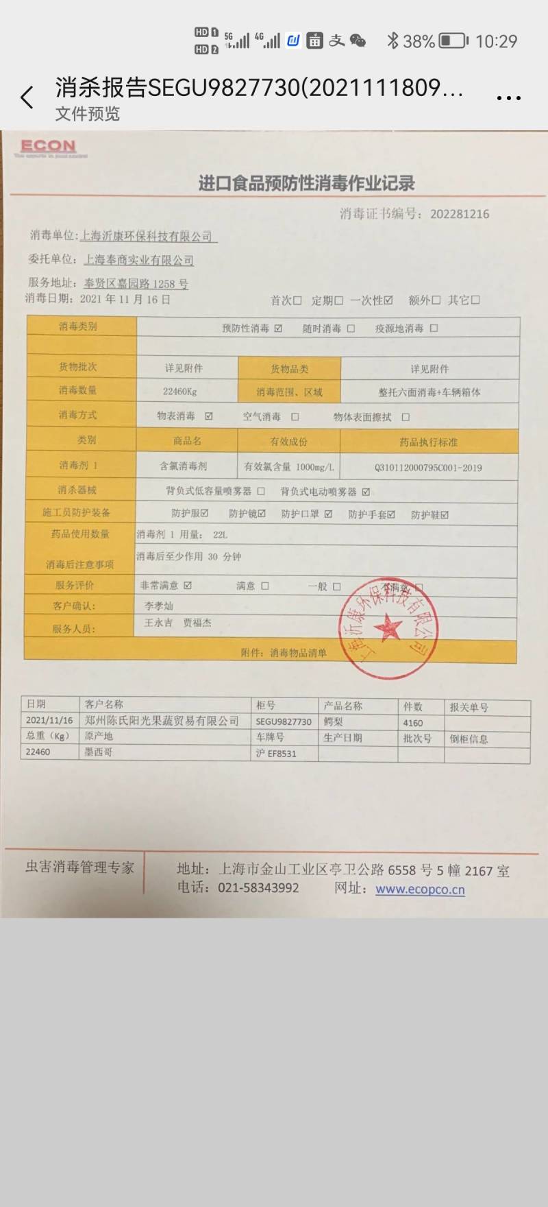 【推荐】牛油果一件代发，上海团长供货，辉展档口直发