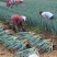 【实力】新野大葱南阳铁秆大葱产地直发大量供货按需分拣保质保量