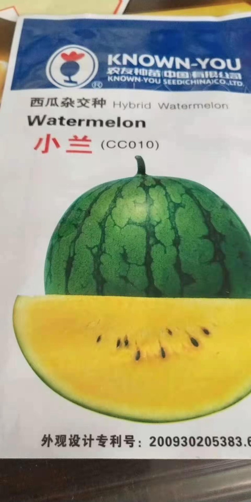 礼品西瓜苗早春红玉西瓜苗2k西瓜苗黄瓤小兰西瓜苗
