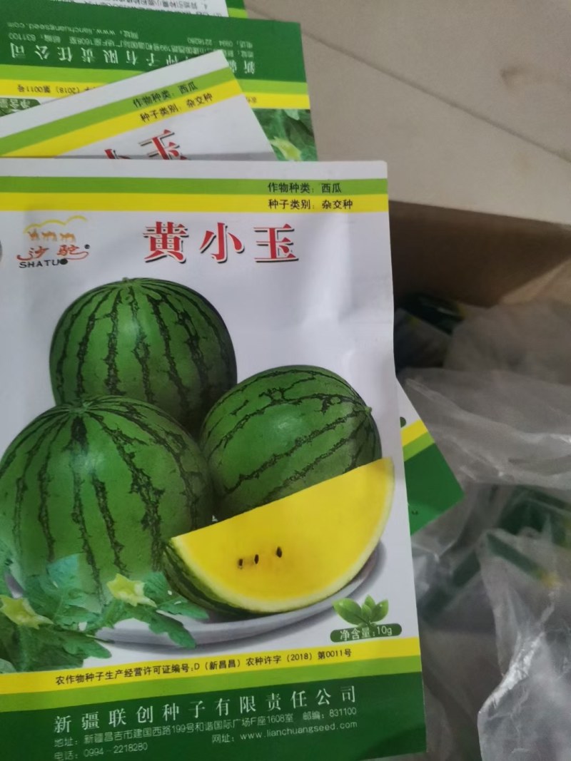 礼品西瓜苗早春红玉西瓜苗2k西瓜苗黄瓤小兰西瓜苗
