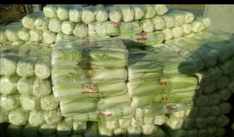 玉田白菜猛哥精品果蔬可视频看货散装袋装均可质量优益价格优