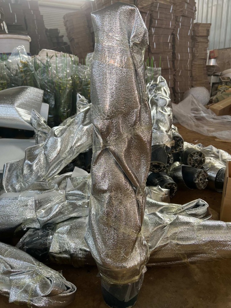 包邮年宵花大花蕙兰盆栽带盆带土一件代发批发鲜花基地直发
