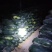 精品地冬瓜，一手货源，价格美丽，颜色鲜艳，个头均匀