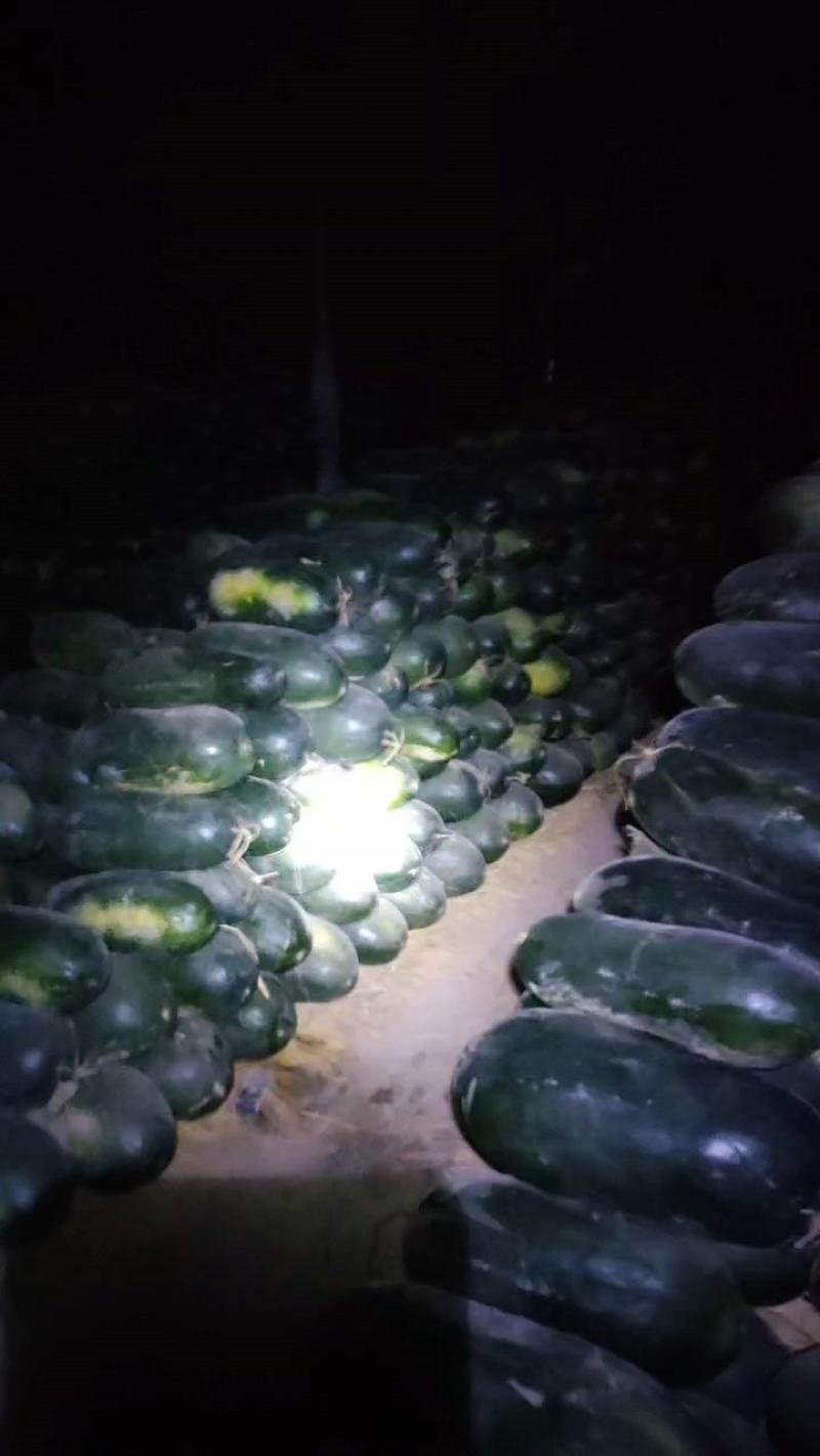 精品地冬瓜，一手货源，价格美丽，颜色鲜艳，个头均匀