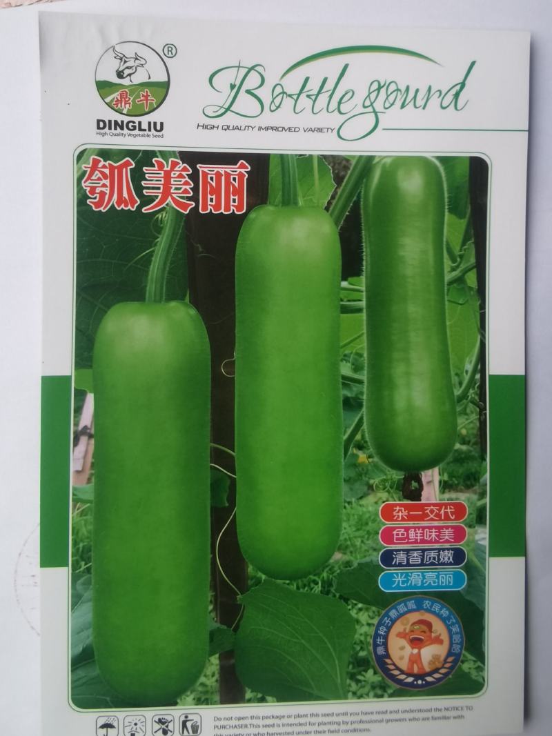 油绿瓠瓜种子瓠美丽早熟瓜条顺直质优脆嫩味美