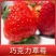 新品种草莓苗北京2014草莓苗当年结果苗提供种植指导