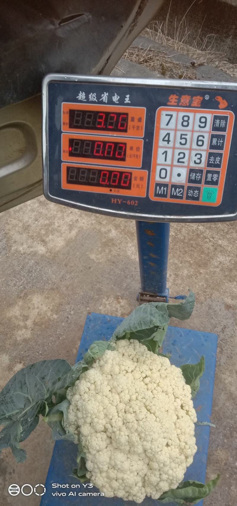 花菜大量供应、产地直销、质量保证、支持各种包装