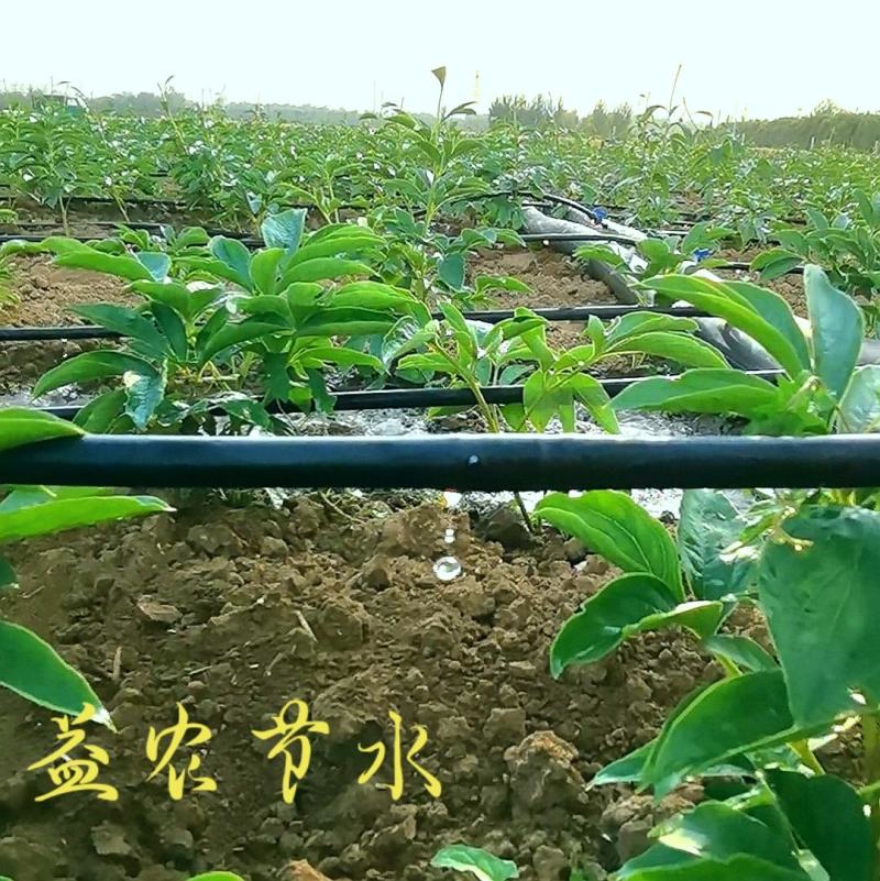 花卉滴灌管PE滴灌管16直径管壁光滑滴灌厂家芍药滴