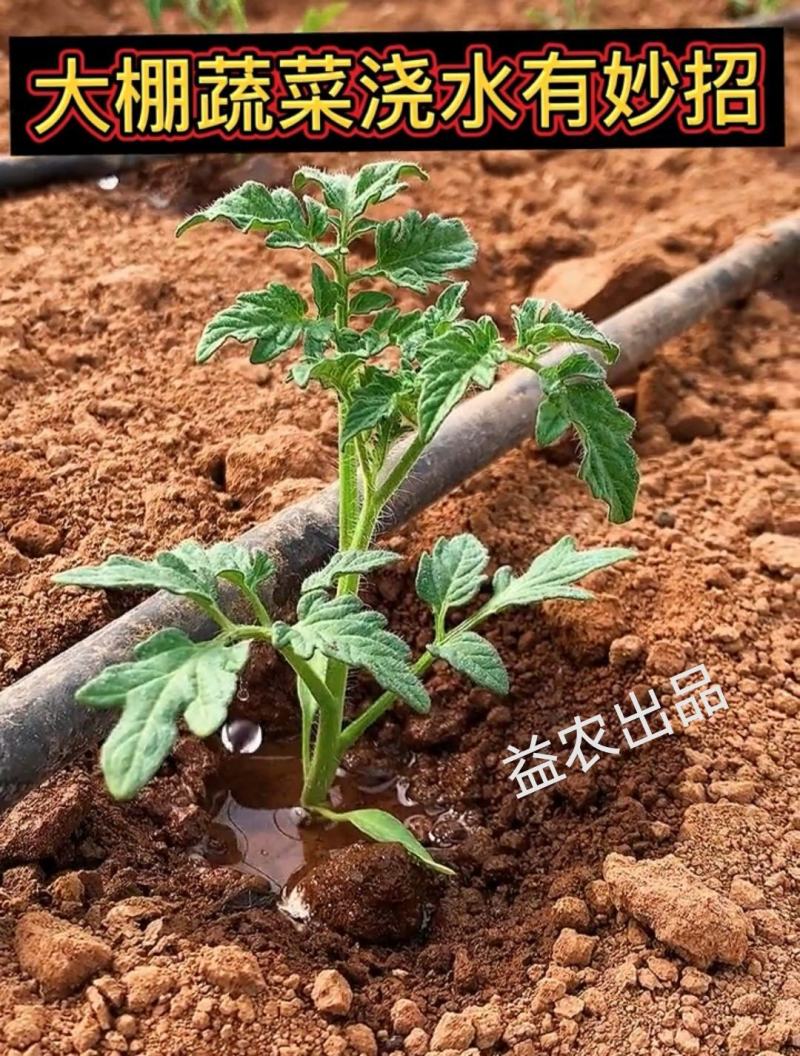 花卉滴灌管PE滴灌管16直径管壁光滑滴灌厂家芍药滴