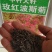 格桑花种子，格桑花种籽子七彩四季开花易活花籽庭院野花组合