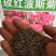 格桑花种子，格桑花种籽子七彩四季开花易活花籽庭院野花组合