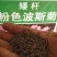 格桑花种子，格桑花种籽子七彩四季开花易活花籽庭院野花组合