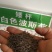 格桑花种子，格桑花种籽子七彩四季开花易活花籽庭院野花组合