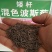 格桑花种子，格桑花种籽子七彩四季开花易活花籽庭院野花组合