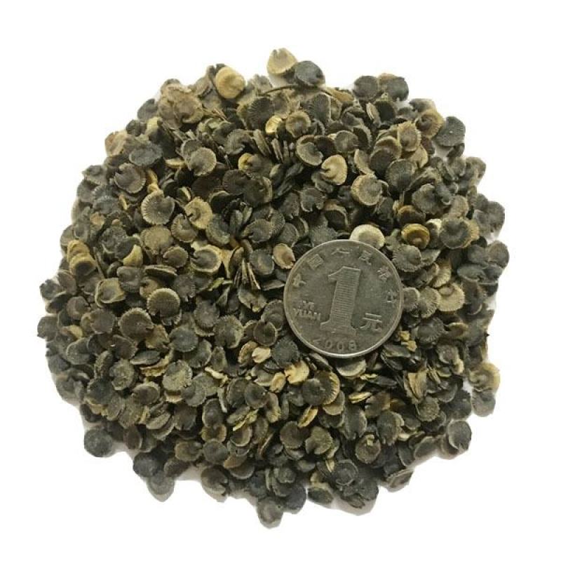 蜀葵种子籽多年生花草种籽四季易种阳台盆栽花卉好养活撒播花