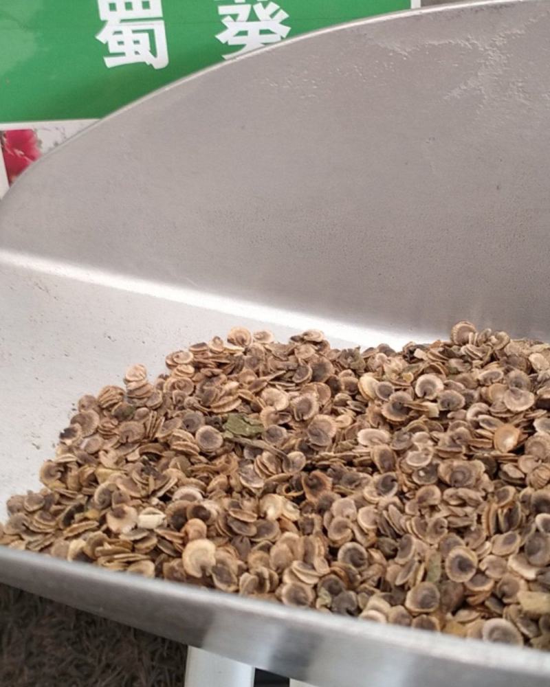 蜀葵种子籽多年生花草种籽四季易种阳台盆栽花卉好养活撒播花