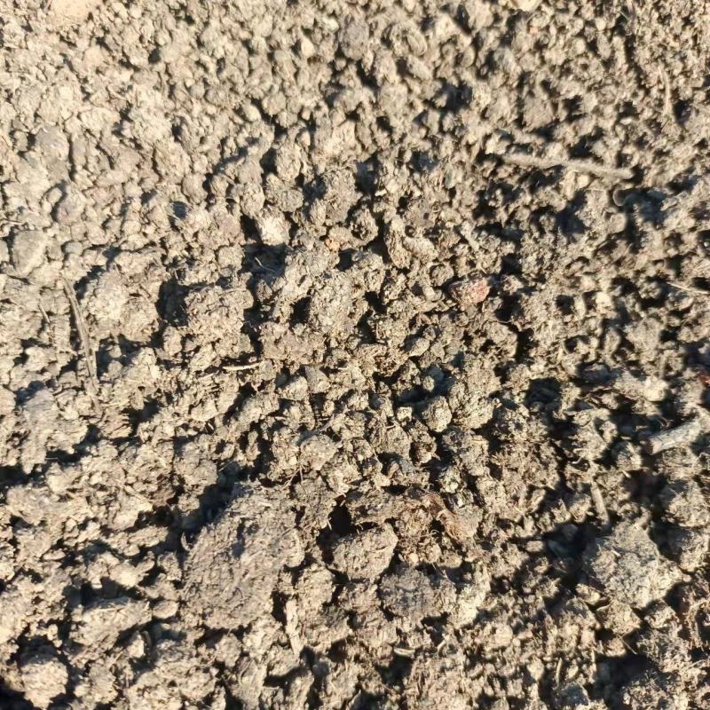发酵纯羊粪，国标有机质百分之45，水分35左右，氮磷钾5