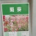 蜀葵种子籽多年生花草种籽四季易种阳台盆栽花卉好养活撒播花