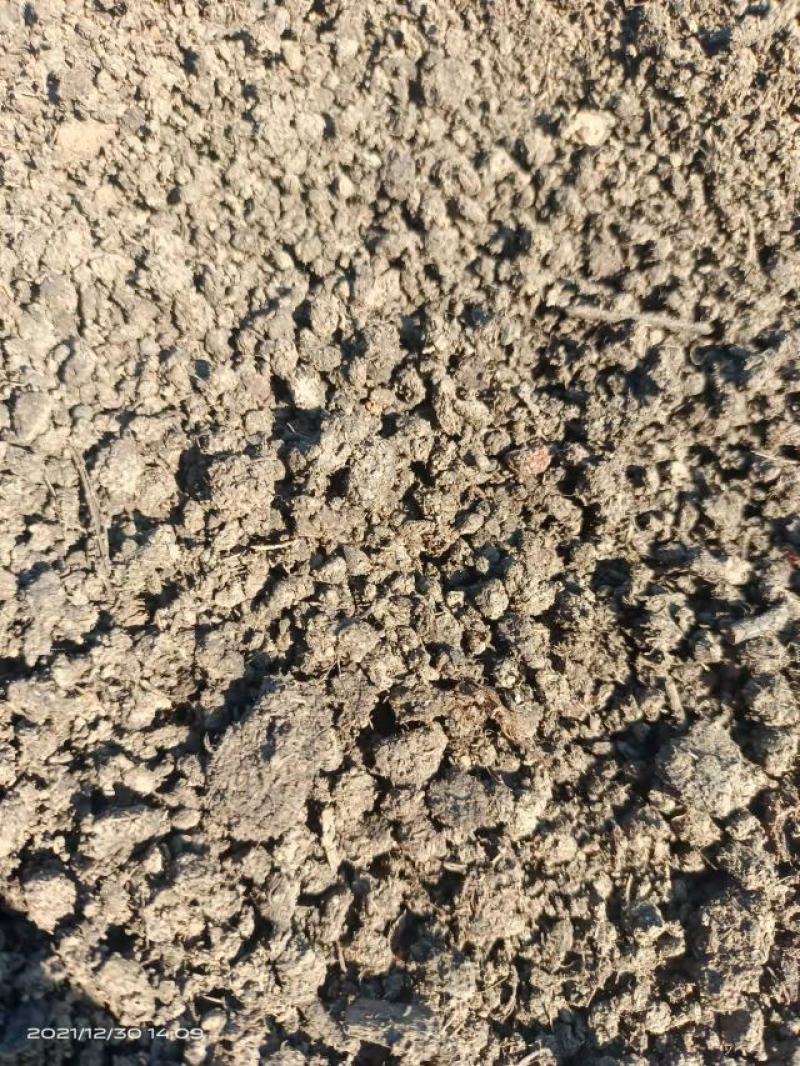 发酵纯羊粪，国标有机质百分之45，水分35左右，氮磷钾5