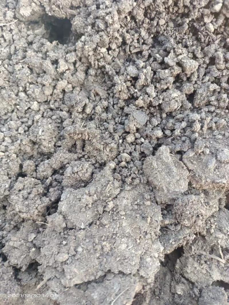发酵纯羊粪，国标有机质百分之45，水分35左右，氮磷钾5