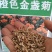 金盏菊种子四季金盏花种子绿化庭院花海阳台盆栽草花卉耐寒花