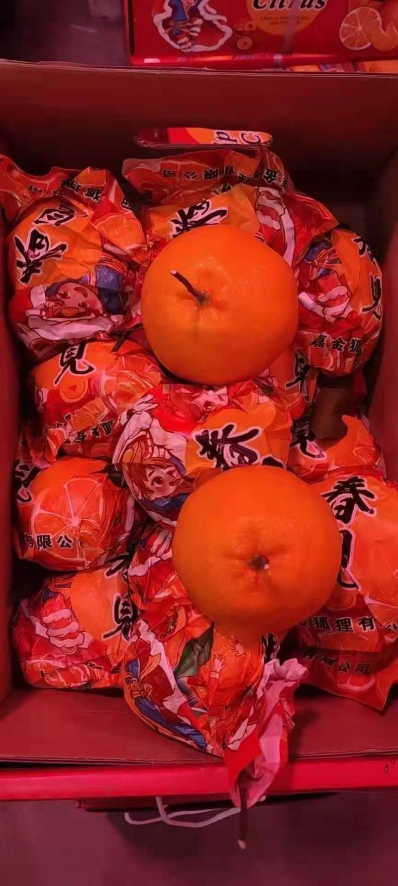 四川春见耙耙柑纯甜化渣颜色火红水份充足货源充足产地直销