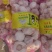 精品金乡大蒜，加工精品优质大蒜，量大从优，代发全国。