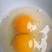 正宗散养土鸡蛋粉壳绿壳品质保证鸡场直发
