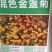 金盏菊种子四季金盏花种子绿化庭院花海阳台盆栽草花卉耐寒花