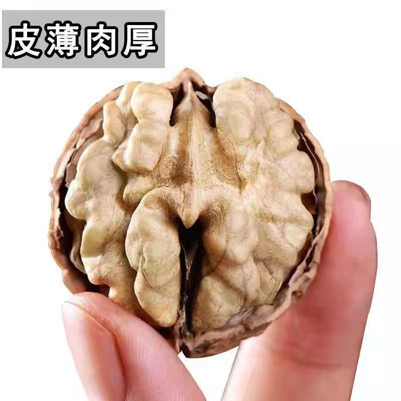 2024年新货核桃云南纸皮核桃薄皮薄壳丑核桃一级云南坚果