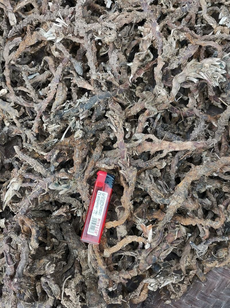 石菖蒲