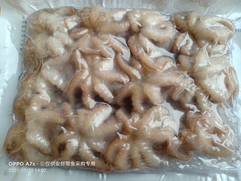 盐柔八爪鱼，脆口不缩水，餐厅大排档，电商都合适用