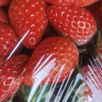 精品奶油草莓，大型的种植园，口感丝滑，香甜可口