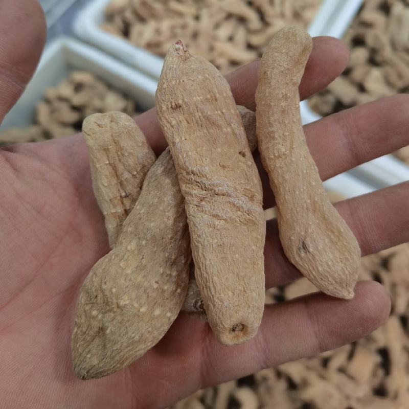 【精选】各种天麻大量批发规格齐全对接全国药材市场